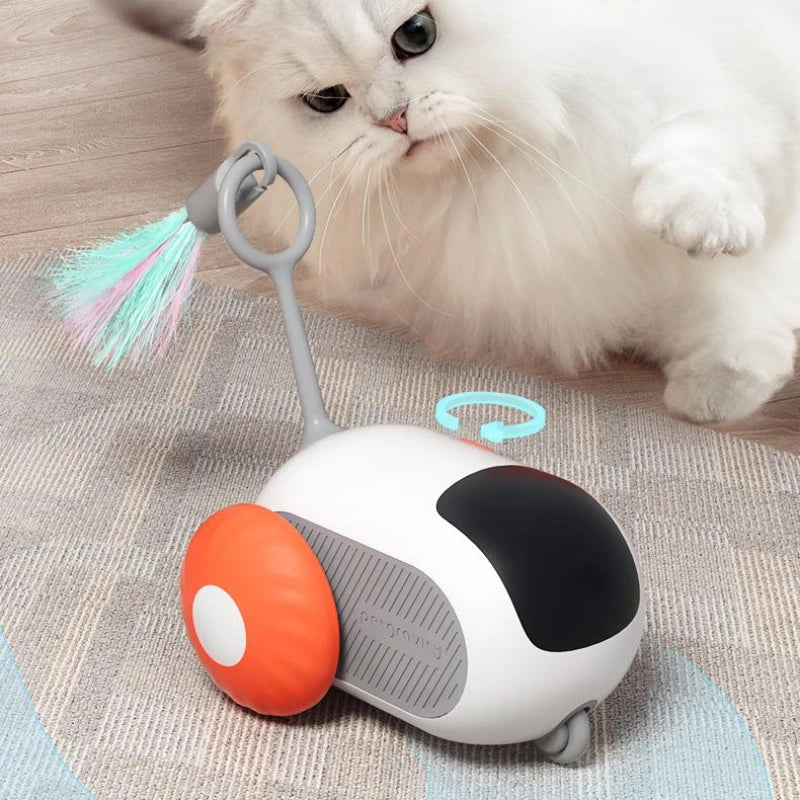 USB Rechargeable Interactive Remote Cat Toy