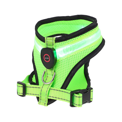 Rechargeable LED Lighted Dog Harness Vest