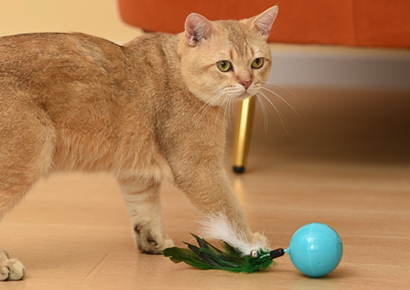 Rechargeable Multi-mode Cat Teaser Ball