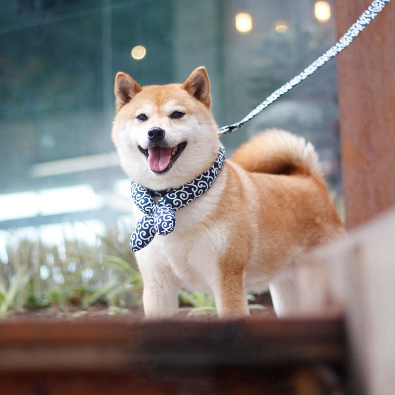 Unique Japanese Soft Style Collars for Dogs