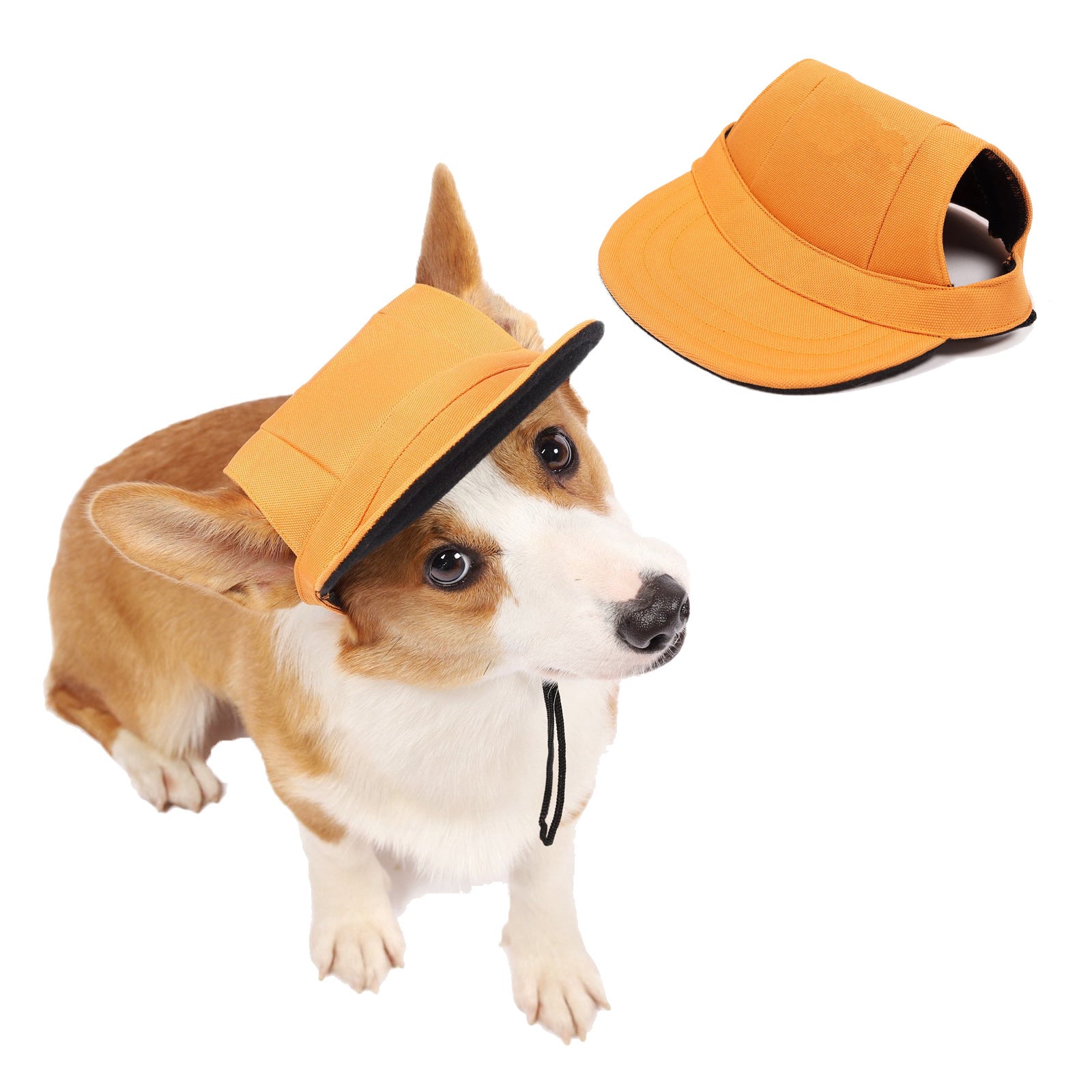 Fashion Protective Baseball Style Hat for Dogs