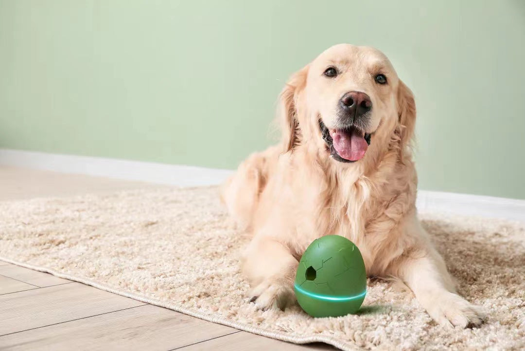 Dancing Egg Shaped Smart Snack Dispenser Dog Toy