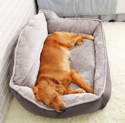 Sofa Style Dog Beds for Healthy Lounging