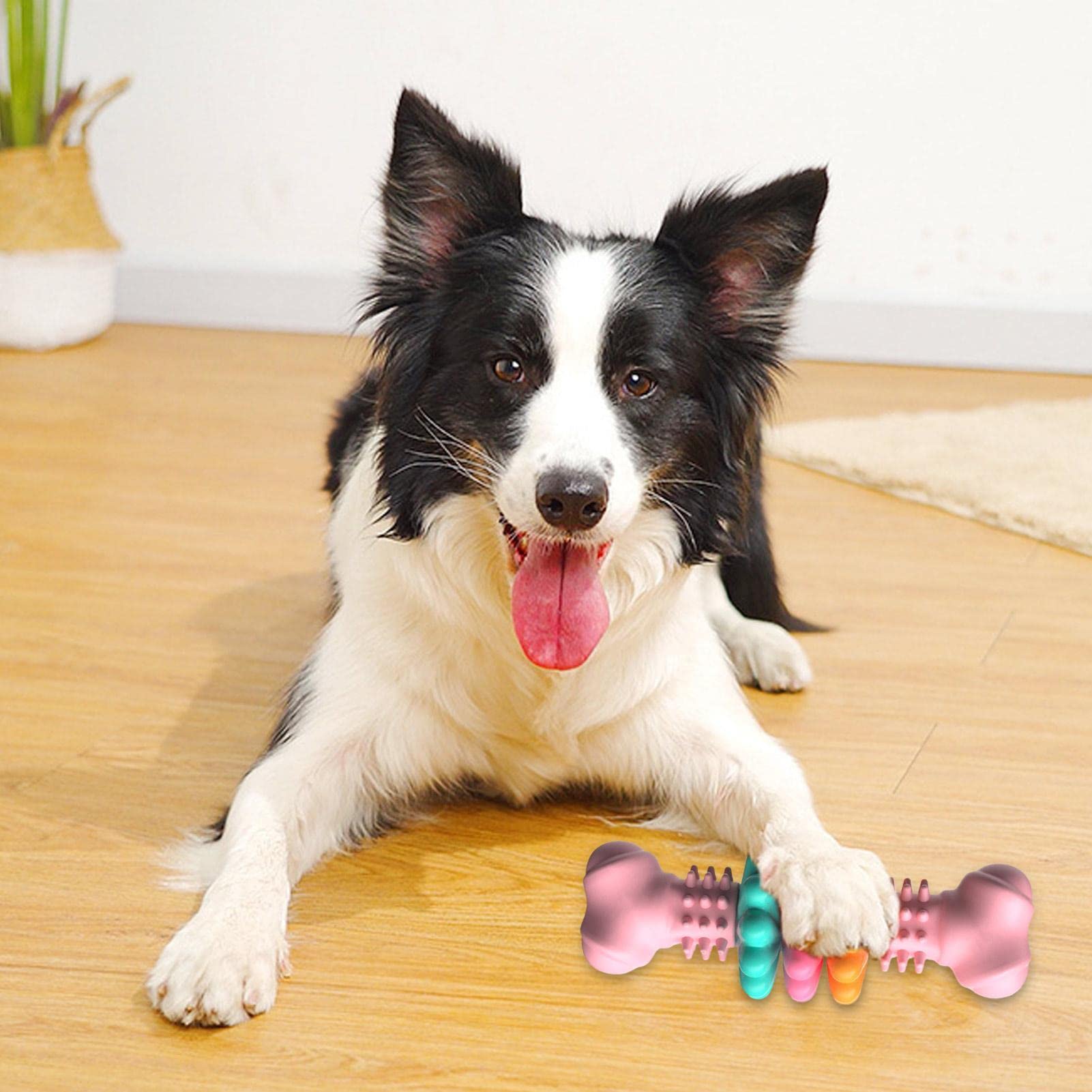 Flexible Durable Active Dental Dog Chew Toy