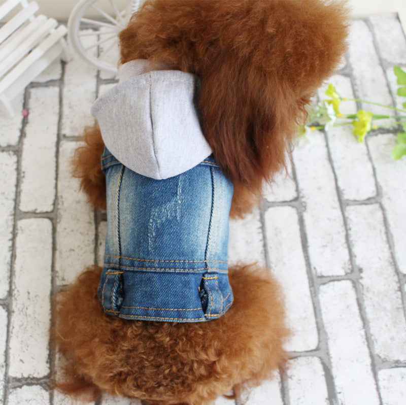 Designer Denim Jacket for Small Dogs or Cats