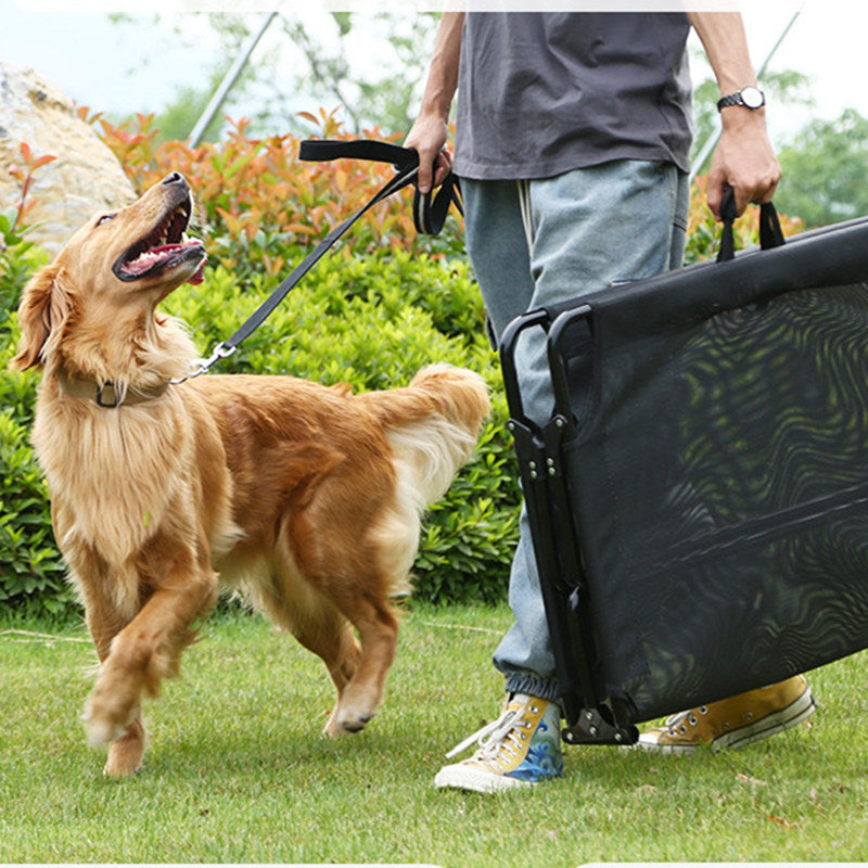 Traveling Foldable Raised Mesh Bed for Dogs