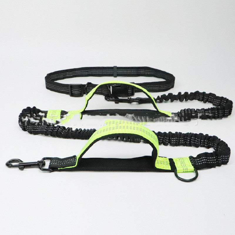 Hands-Free Bungee Anti-Jerk Leash for Dogs