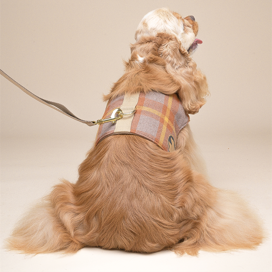 Classic Retro Plaid Vest Harness for Dogs