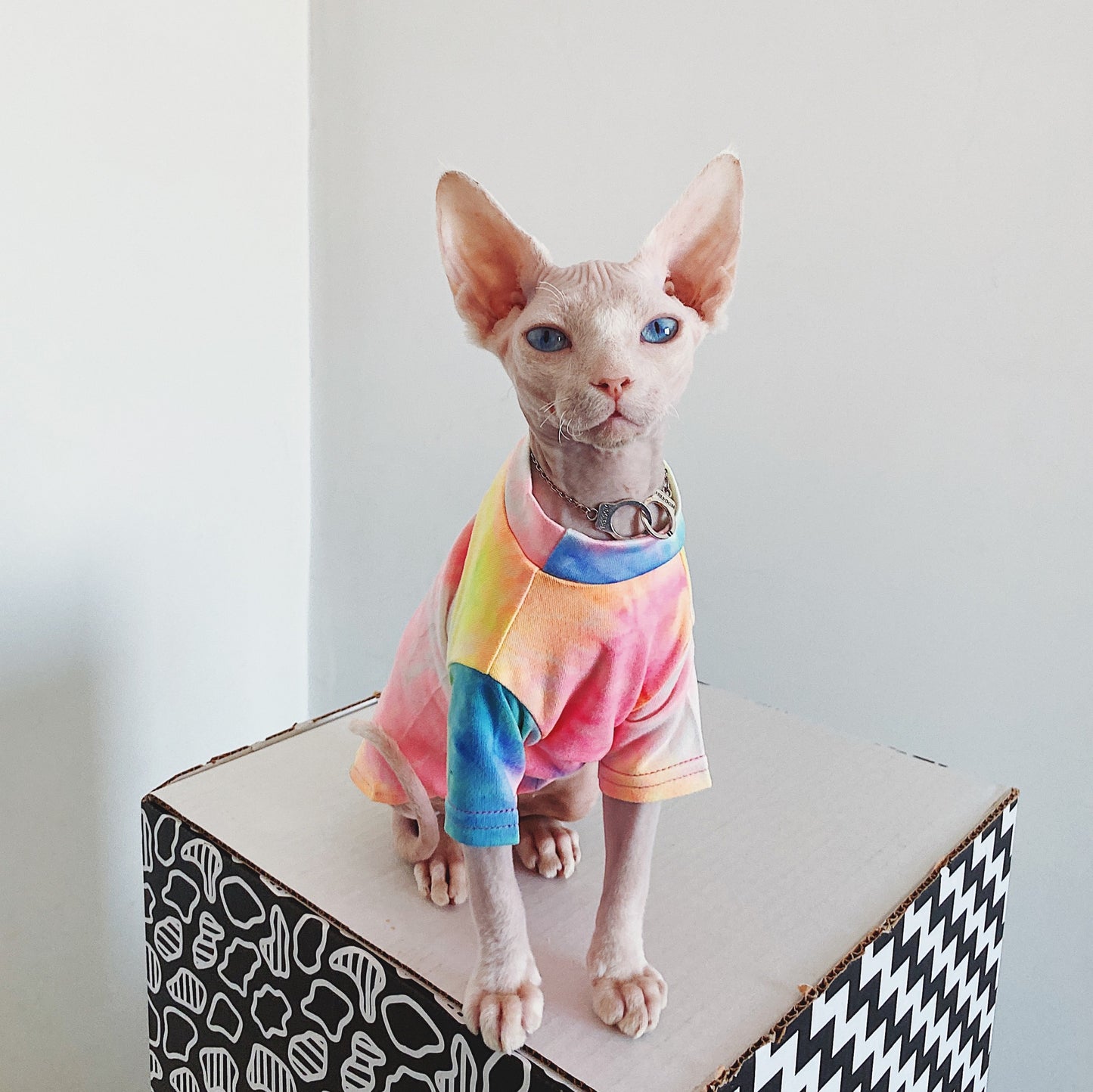 Tie-Dyed Rainbow Shirts for Hairless Cats