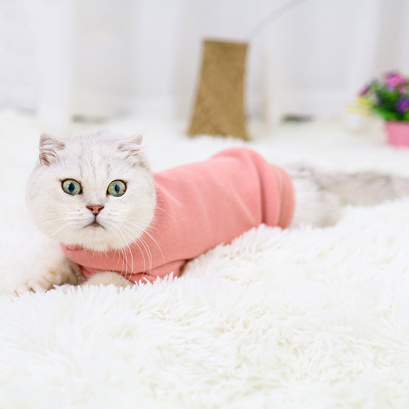 Simple Pullover Sweaters for Hairless Cats