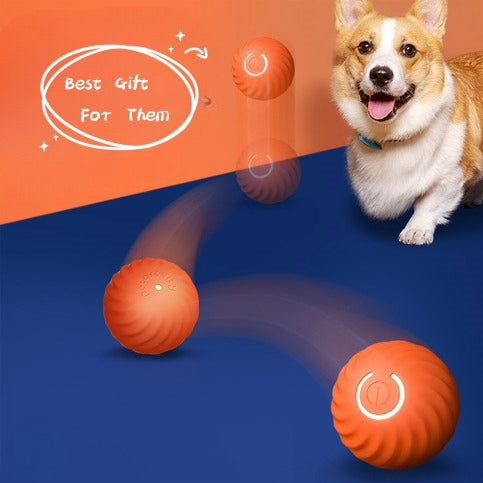 Rechargeable Bouncing Ball Toy For Dogs