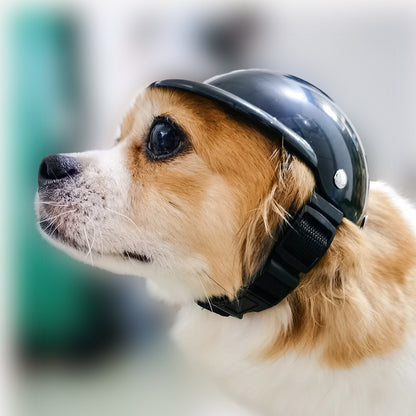 Motorcycle Safety Helmet and Goggles for Dogs