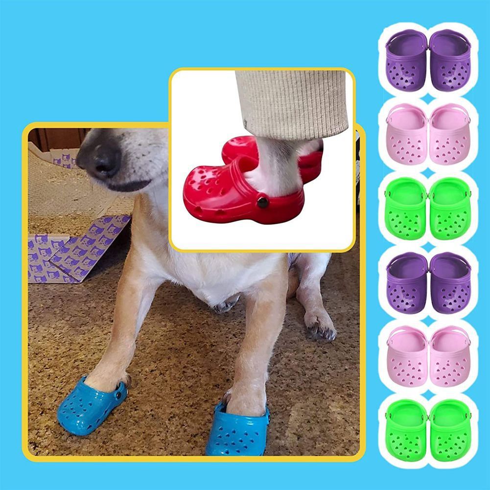 Wear-Resistant Fun Fashion Clog Shoes for Dogs