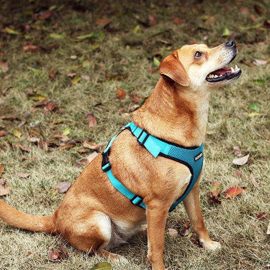 I-Shaped Reflective And Breathable Chest Harness for Dogs