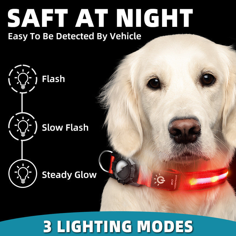 Waterproof LED Lit Collar for Dogs