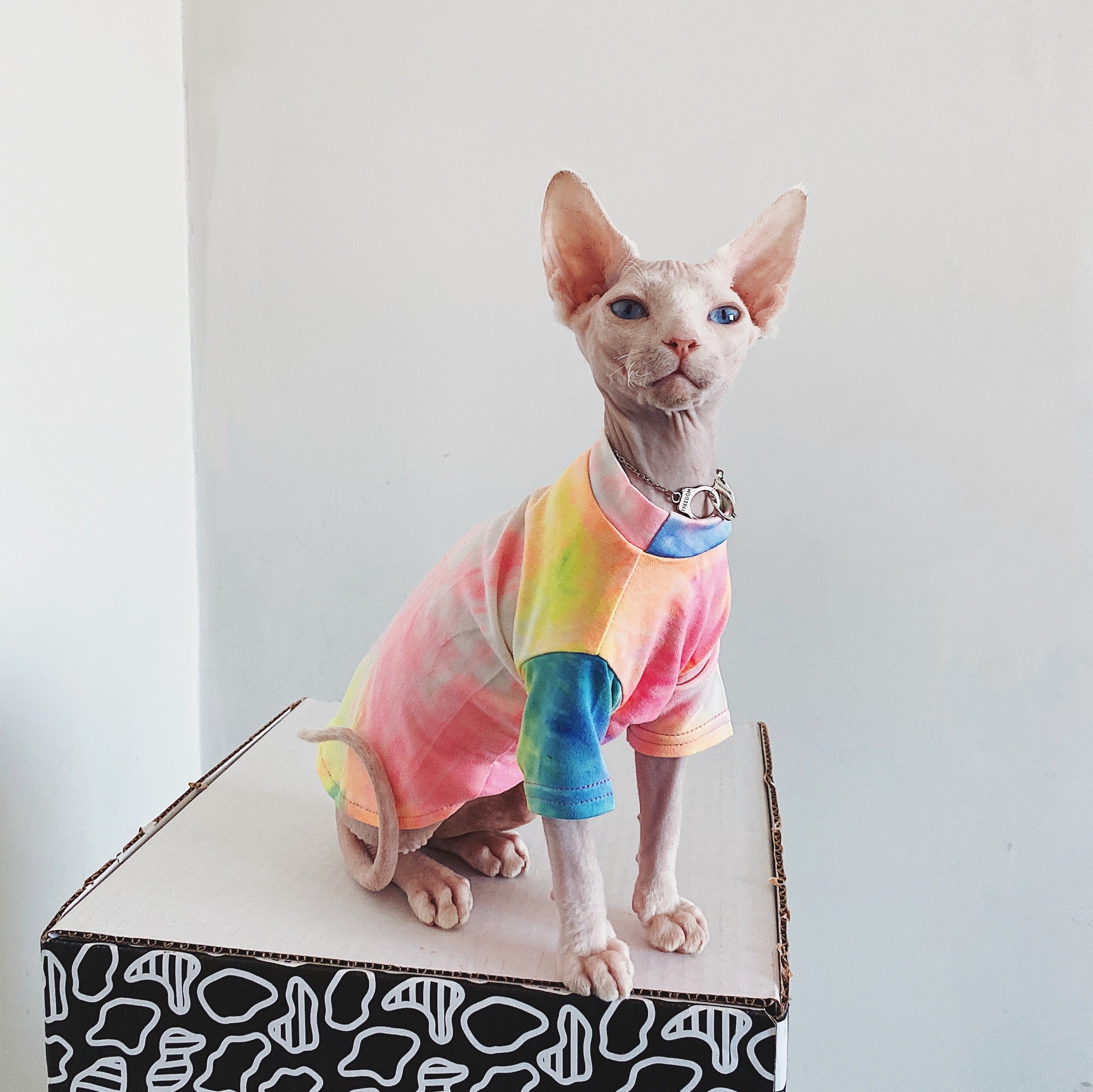 Tie-Dyed Rainbow Shirts for Hairless Cats