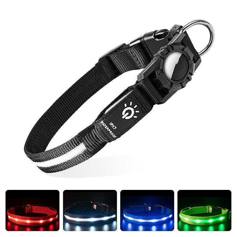 Waterproof LED Lit Collar for Dogs