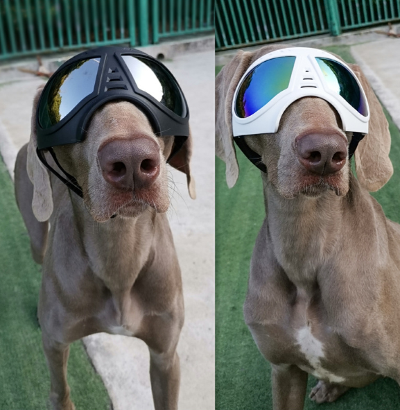 UV Protective German Shepherd and All Breeds Goggles