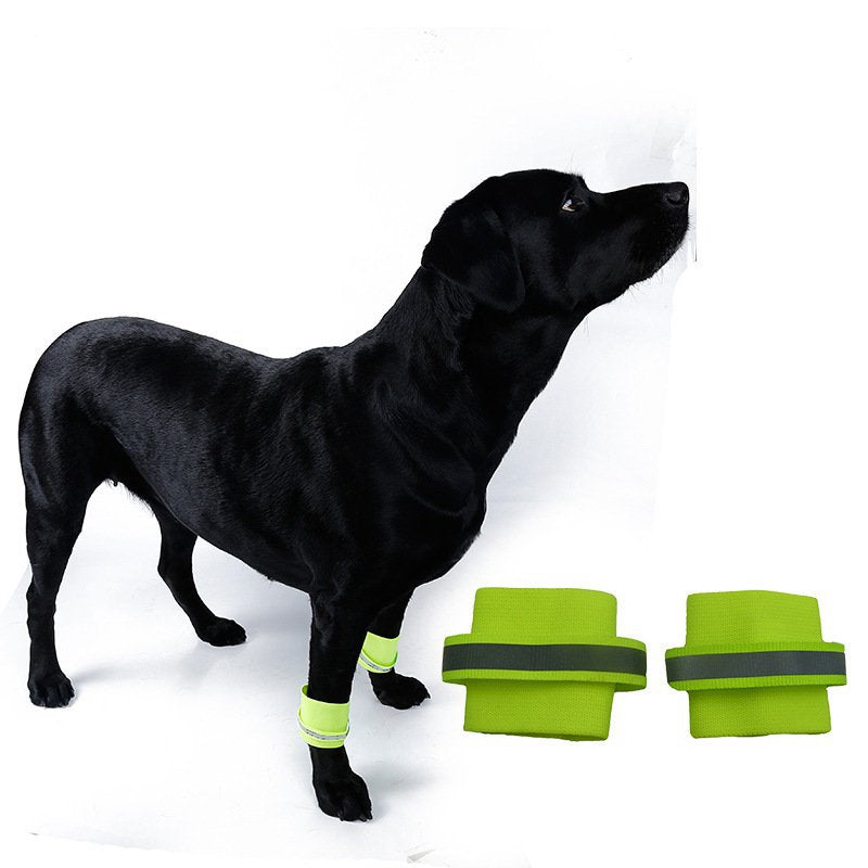 Reflective Fluorescent Safety Wrist Bands for Dogs