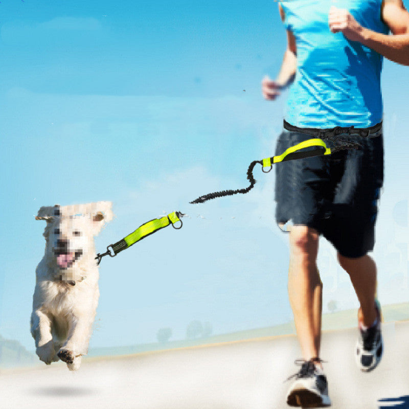 Hands-Free Bungee Anti-Jerk Leash for Dogs