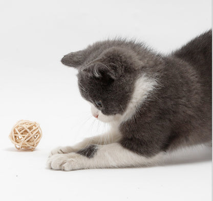 Rattan Woven Bell Ball Feather Funny Cat Toy