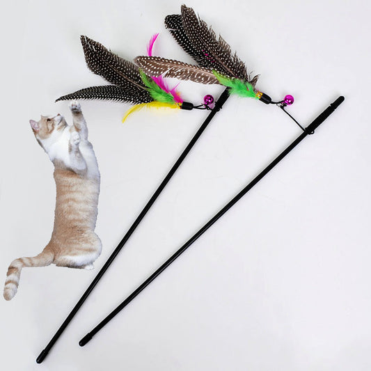 Feathered Bird Cat Teaser Tether and Rod