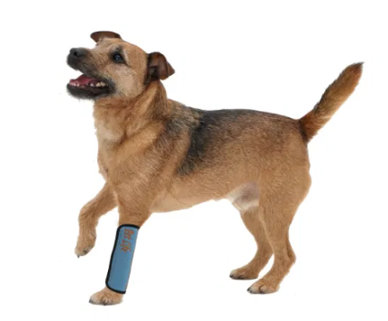 Extreme-Neoprene Protective Joint Sleeves for Dogs - Blue