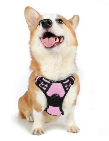 Padded Reflective No-Pull Harness for Dogs