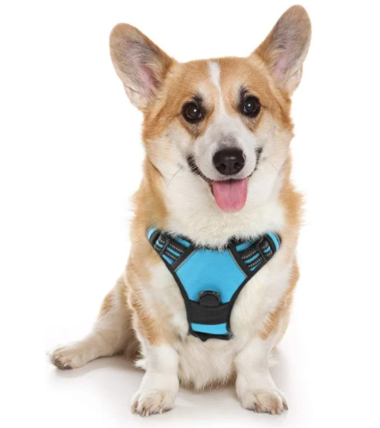 Padded Reflective No-Pull Harness for Dogs
