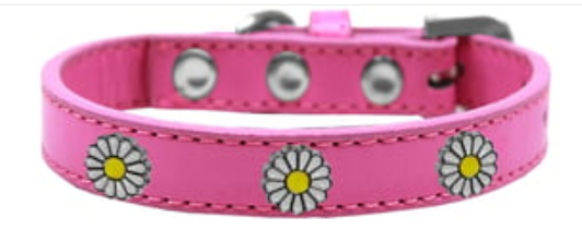 White Daisy Fun Widget Collar for Dogs and Cats