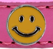 Fun Widget Dog and Cat Collars - Happy Face