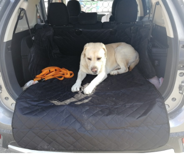 Vehicle Cargo Area Adjustable Protection Mat