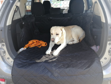 Vehicle Cargo Area Adjustable Protection Mat