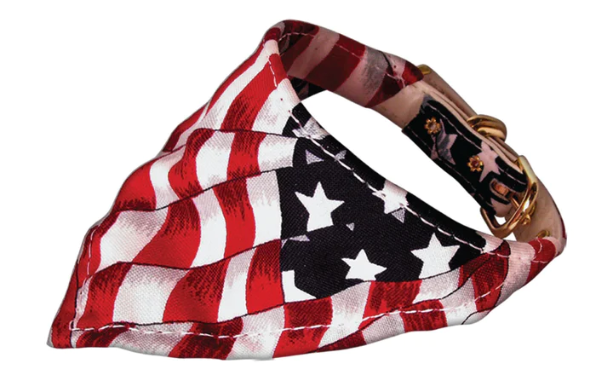 America the Beautiful Bandana Collar for Dogs