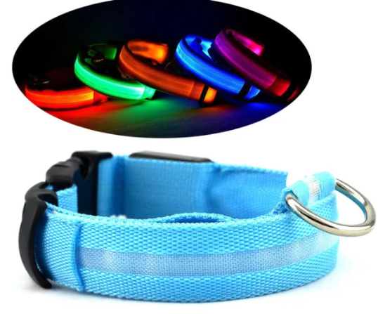 LED Safety Halo Style Collar for Dogs and Cats