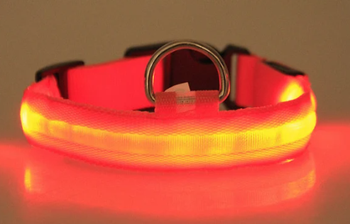 LED Safety Halo Style Collar for Dogs and Cats