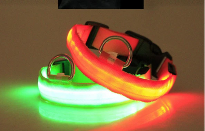 LED Safety Halo Style Collar for Dogs and Cats