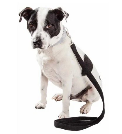 Pet Life 'Aero Mesh' Comfortable Adjustable Dog Leash