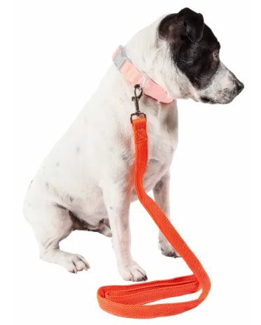 Pet Life 'Aero Mesh' Comfortable Adjustable Dog Leash