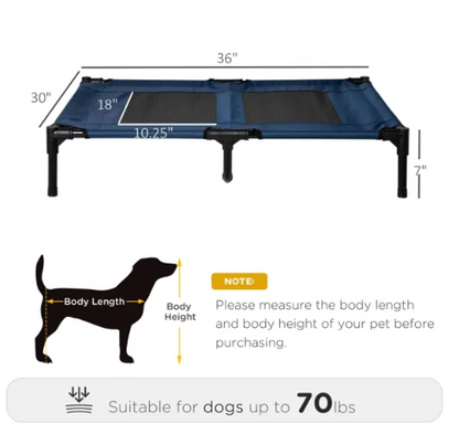 Raised Bed for Medium Size Dogs Up to 70 lbs.