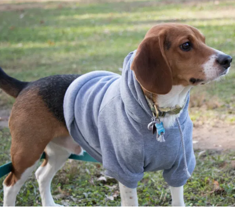 Pet Life - Plush Fashion Hoodie Sweatshirt for Dogs