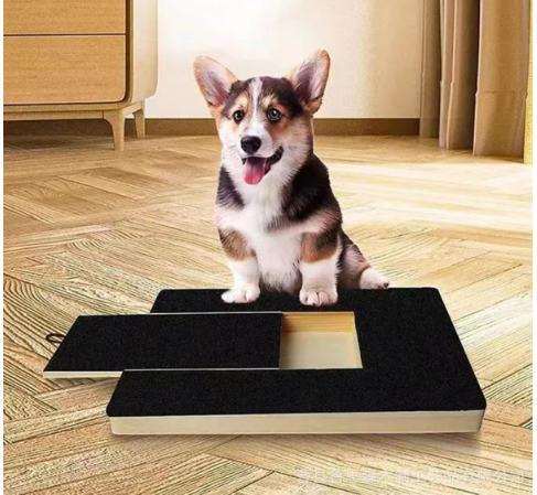 Interactive Nail File Scratching Board for Dog Paws