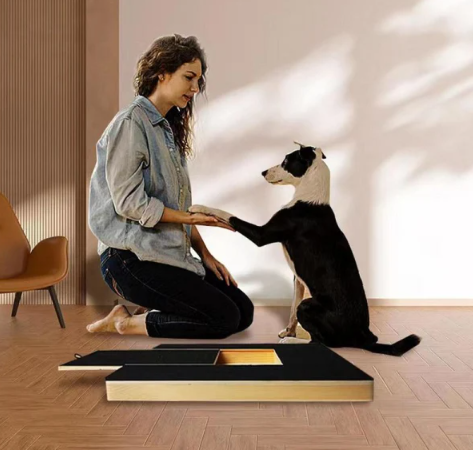 Interactive Nail File Scratching Board for Dog Paws