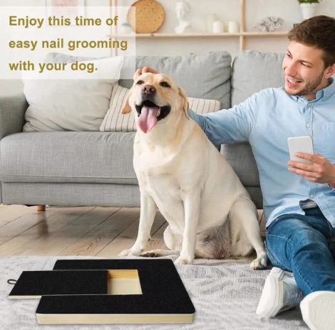 Interactive Nail File Scratching Board for Dog Paws