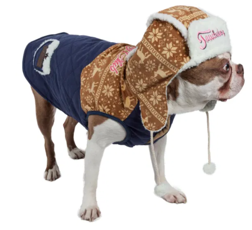 Touchdog - Snowadayz - Pom Pom Hooded Sweater for Dogs - Blue