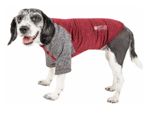 Pet Life - Active 'Hybreed' 4-Way Stretch Two-Toned Performance T-Shirt for Dogs