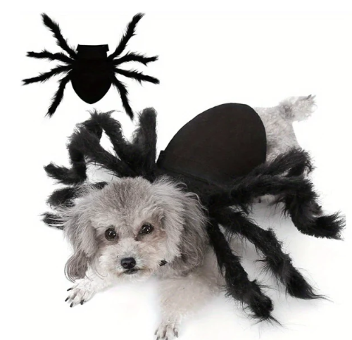 Halloween Spider Costume Fun For Cats And Small And Medium-sized Dogs