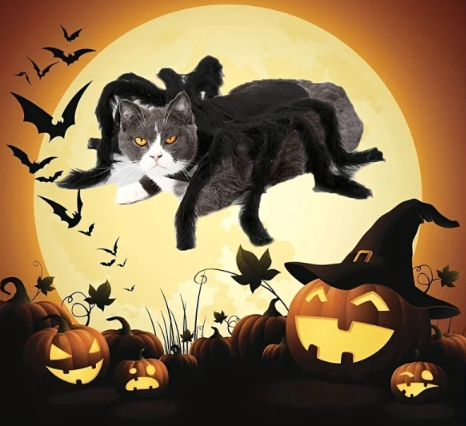 Halloween Spider Costume Fun For Cats And Small And Medium-sized Dogs