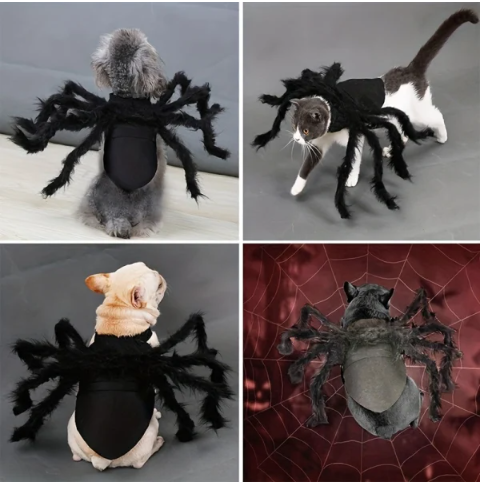 Halloween Spider Costume Fun For Cats And Small And Medium-sized Dogs