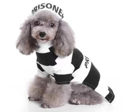 Pet Life Striped Retro Inmate Prisoner Pet Dog Costume Uniform